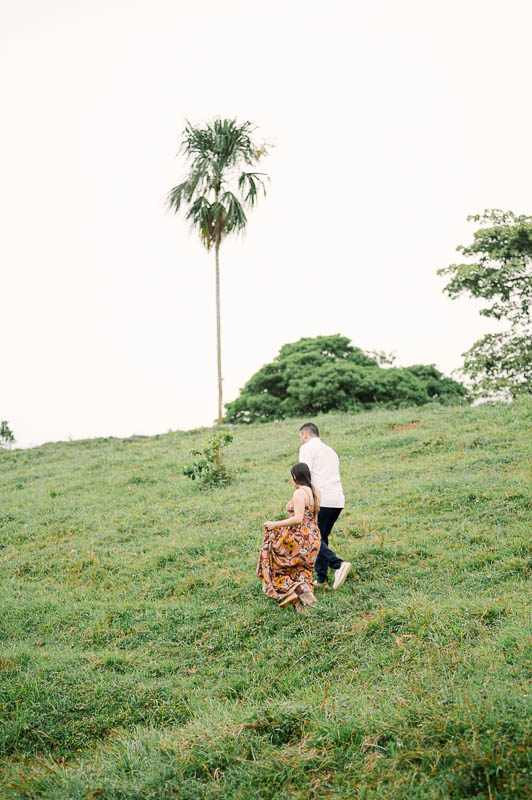 Descripción de la imagen 26